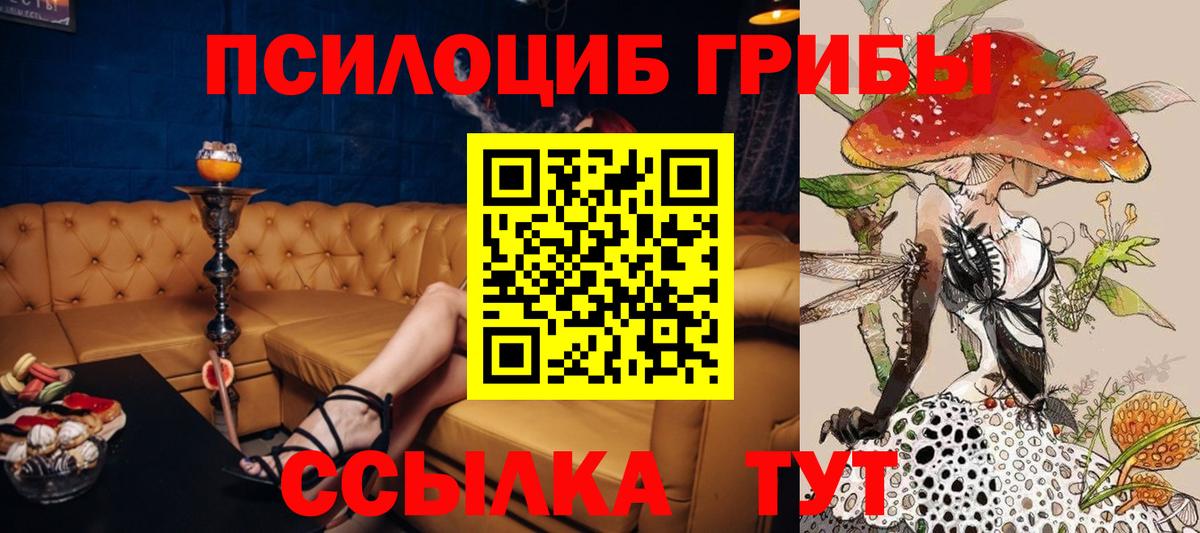 Галлюциногенные грибы GOLDEN TEACHER Семилуки